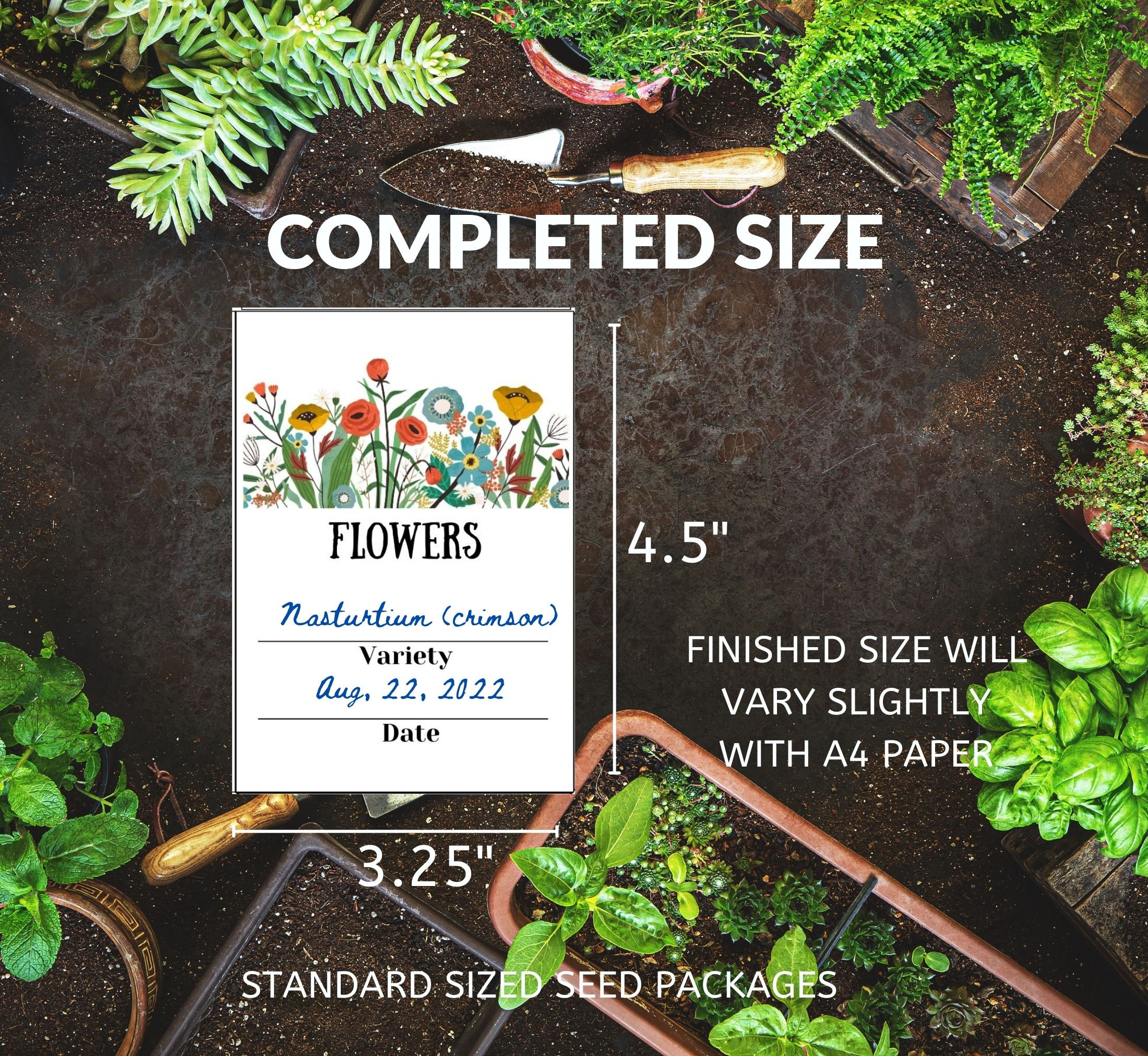 Printable Seed Envelopes DIY Seed Packets Seed Storage Seed Saving ...