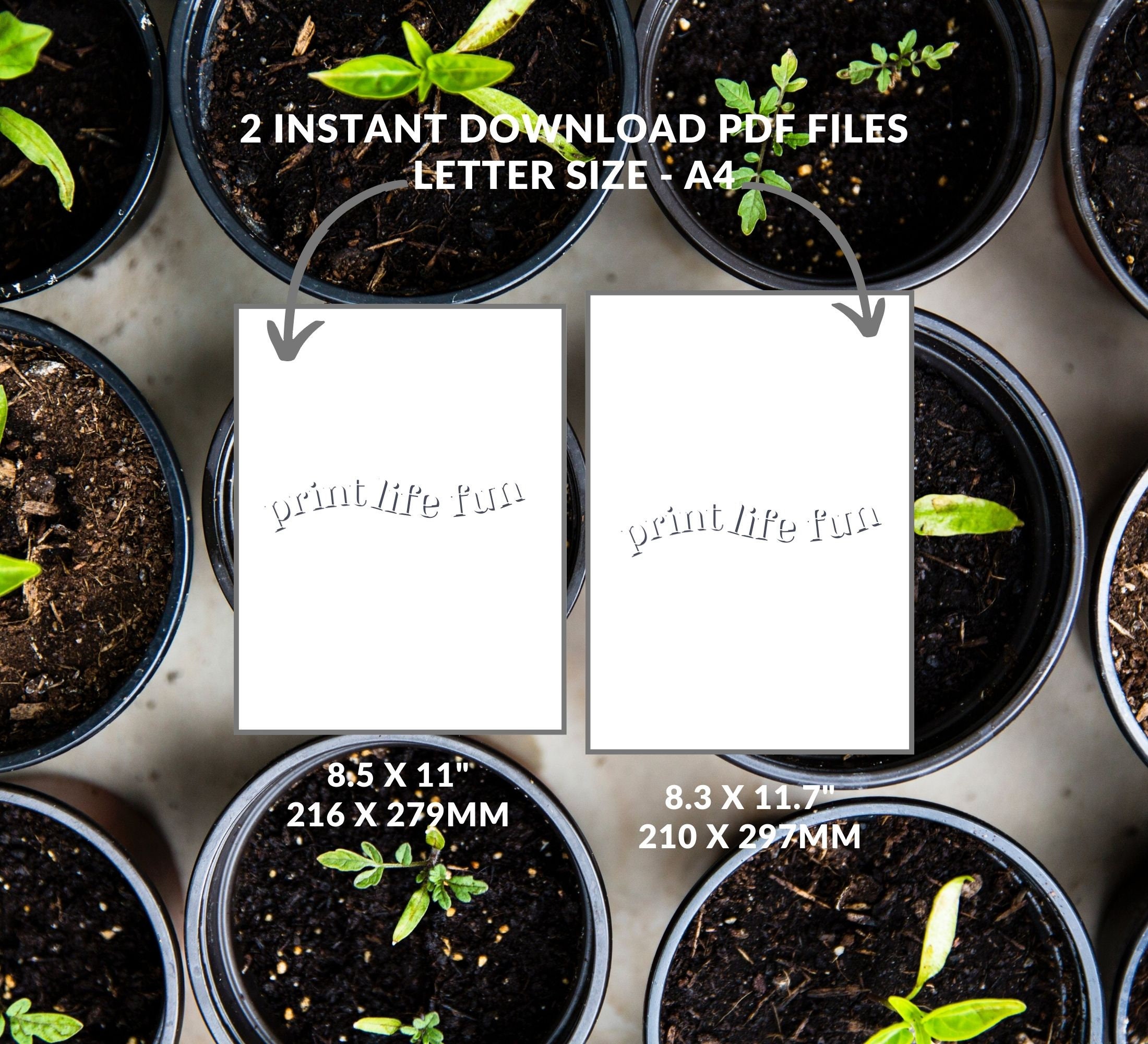 DIY Seed Packet Printable Envelopes, Instant Download PDF, A4 US Letter ...