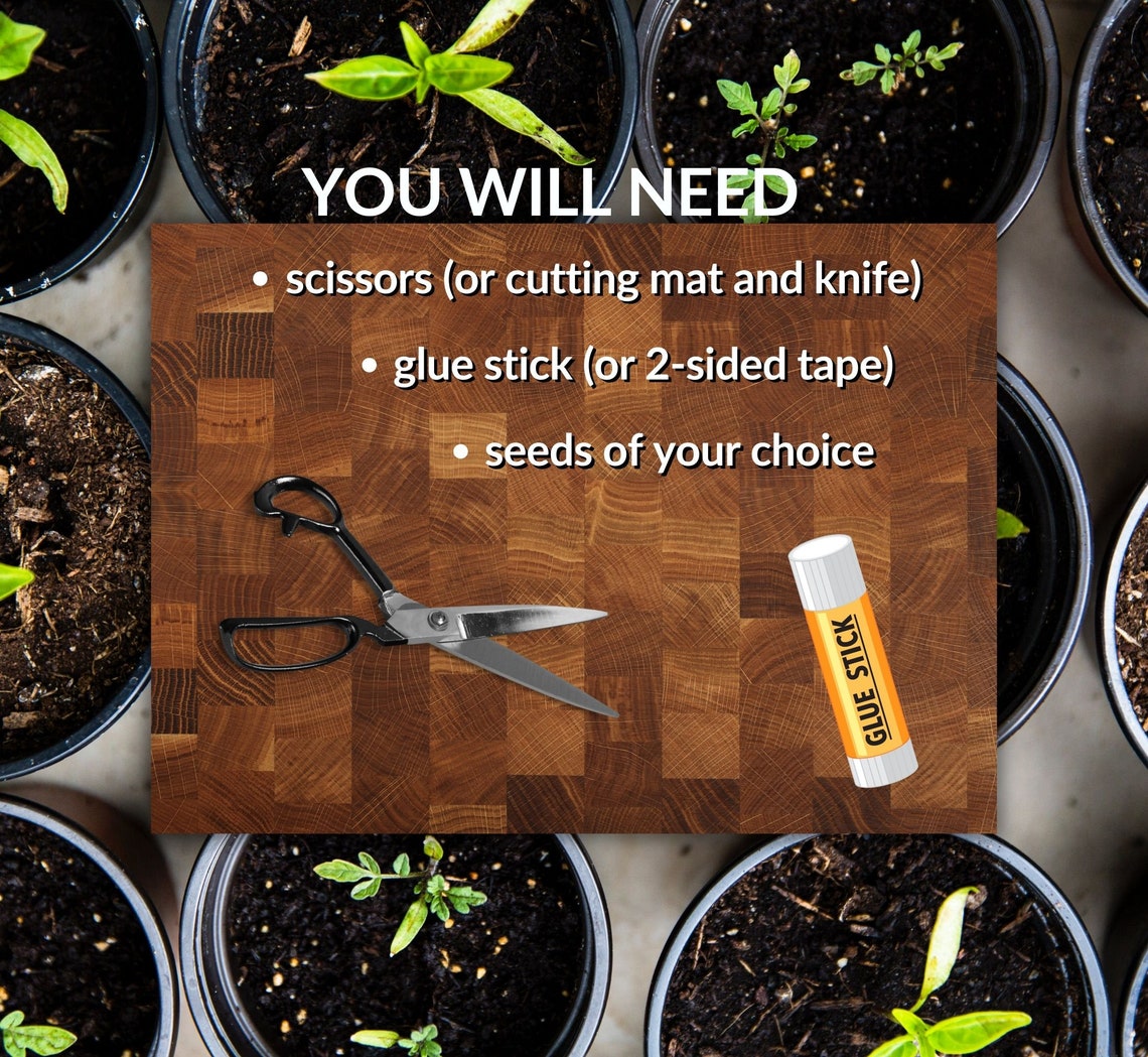 Printable Seed Envelopes DIY Seed Packets Seed Storage Seed Saving ...