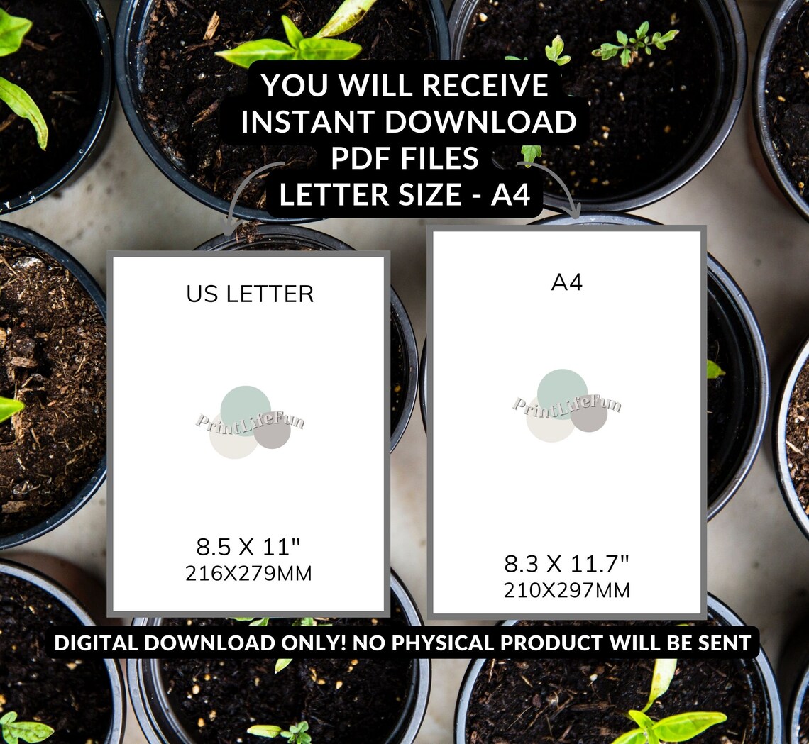 Printable Seed Envelopes DIY Seed Packets Seed Storage Seed Saving ...