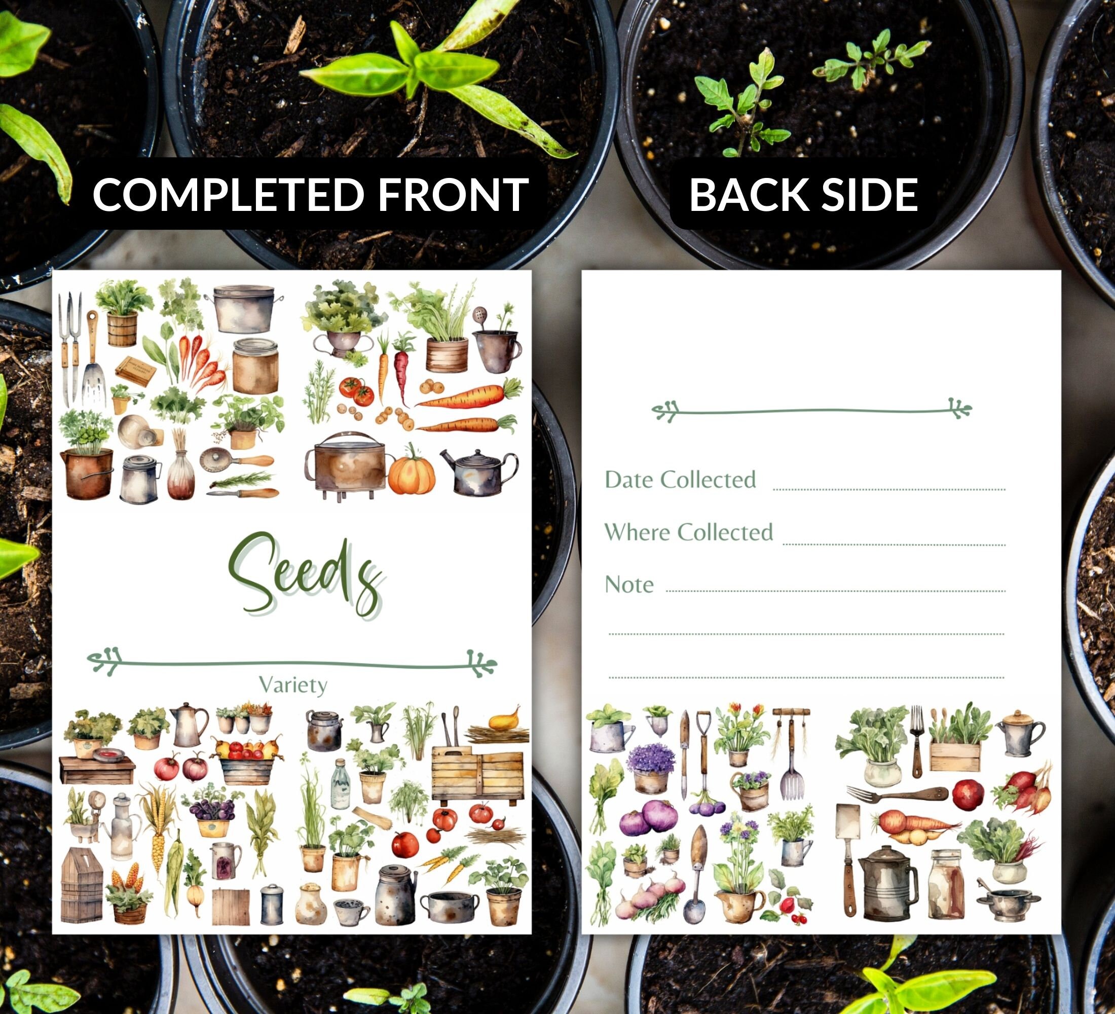 DIY Seed Packet Printable Envelopes: Watercolor Flower, Herb, Vegetable ...
