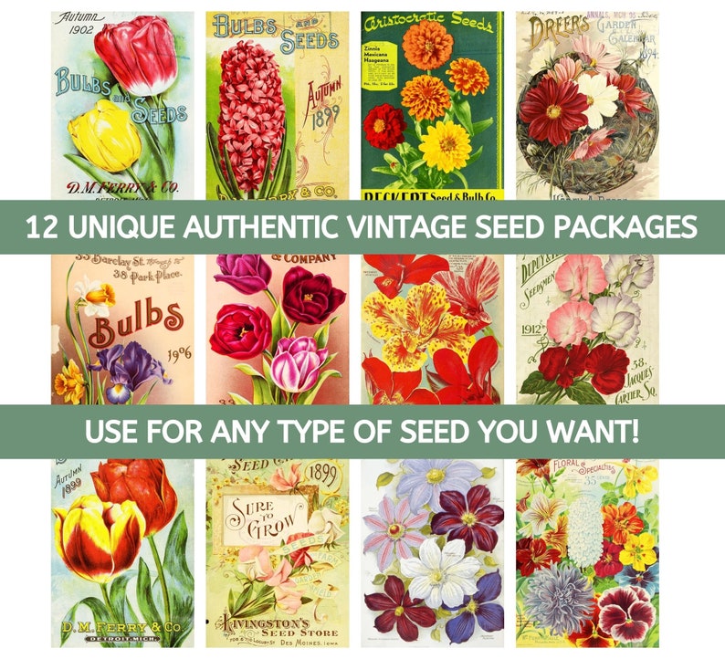 Shorna Bulb Packet Printable Vintage Seed Packet Bundle: DIY Seed Envelopes (PDF Download ...