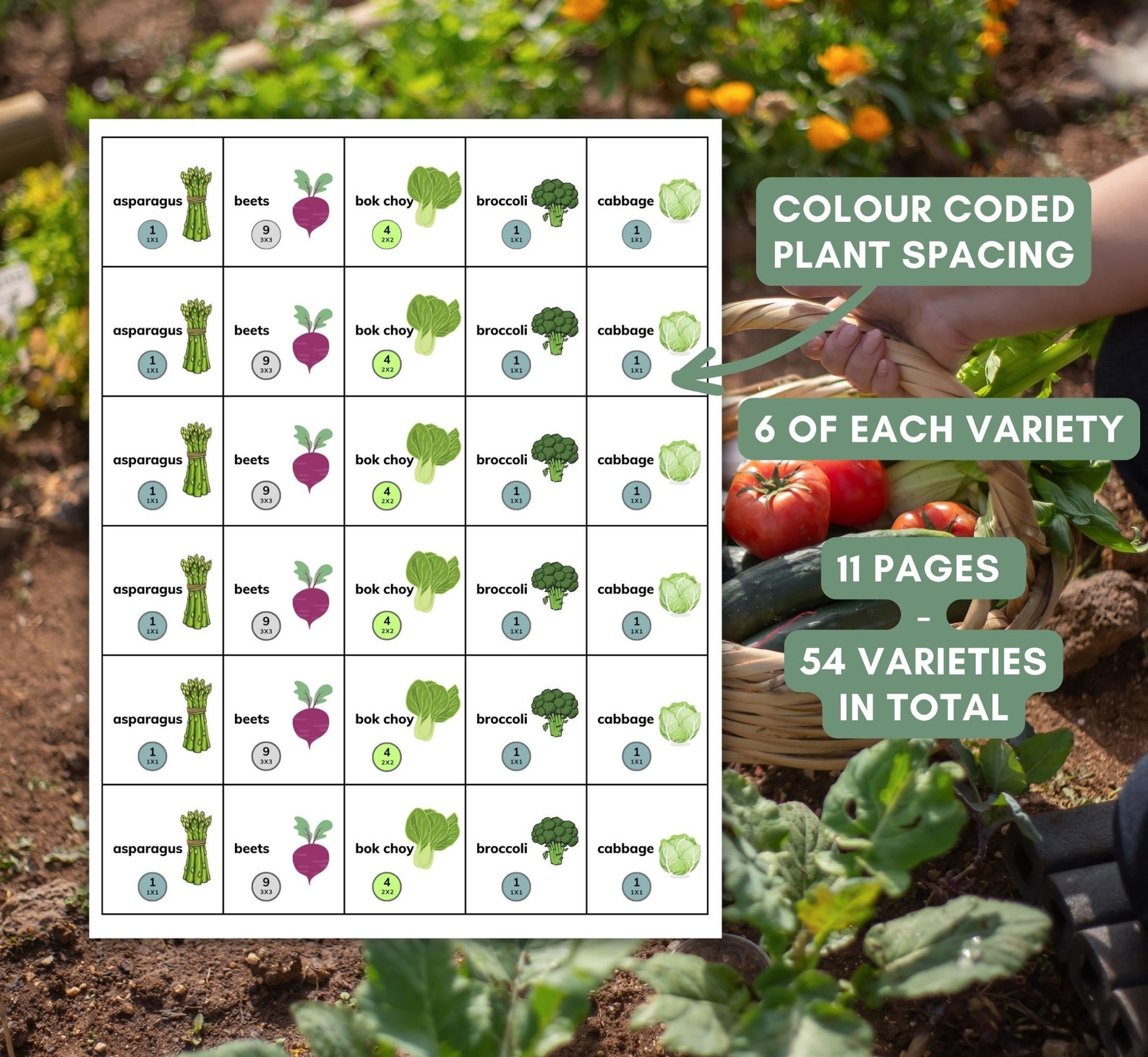 Planting Guide.pdf Square Foot Garden Planner: Visual Vegetable Planting Guide (PDF ...