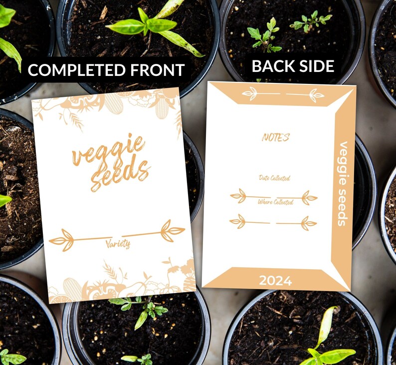 Printable Vegetable Seed Envelopes DIY Seed Packets Seed Storage Seed ...