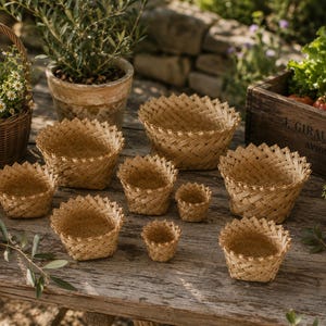 May include: A collection of nine round, light brown woven baskets of varying sizes, each featuring a scalloped, pointed rim design. The baskets are arranged on a weathered wooden surface, showcasing a natural, textured, and interlaced pattern.