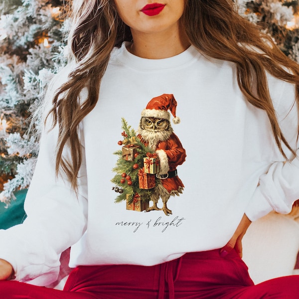 Owl Sweatshirt Owl Sweater Owl Print Christmas Owl Christmas Crewneck Cottagecore Christmas Sweatshirt Owl Sweatshirt for Women Owl Lover