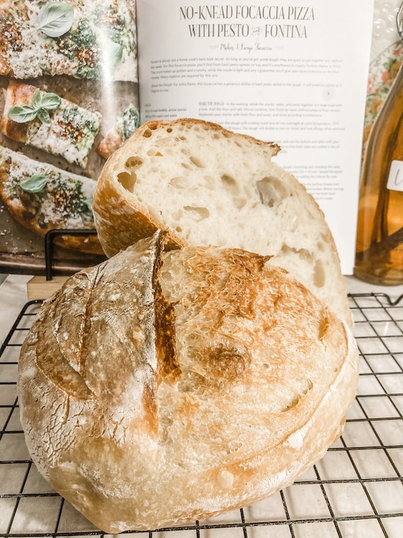 Organic Sourdough Starter