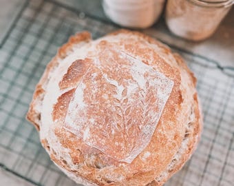 Organic Sourdough Starter