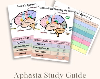 Könnte beinhalten: Ein Studienleitfaden für Aphasie, der zwei Diagramme des Gehirns mit verschiedenen in Farbe hervorgehobenen Bereichen zeigt. Die Diagramme sind mit "Broca-Aphasie" und "Transkortikale sensorische Aphasien" beschriftet. Der Leitfaden enthält auch eine Tabelle mit Häkchen und Kreuzen, um das Vorhandensein oder Fehlen bestimmter Symptome anzuzeigen.
