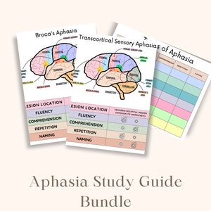 Aphasia Study Guide Worksheets Speech Language Pathology Praxis Study Guide Medical Student Anatomy Study Guide Digital Download