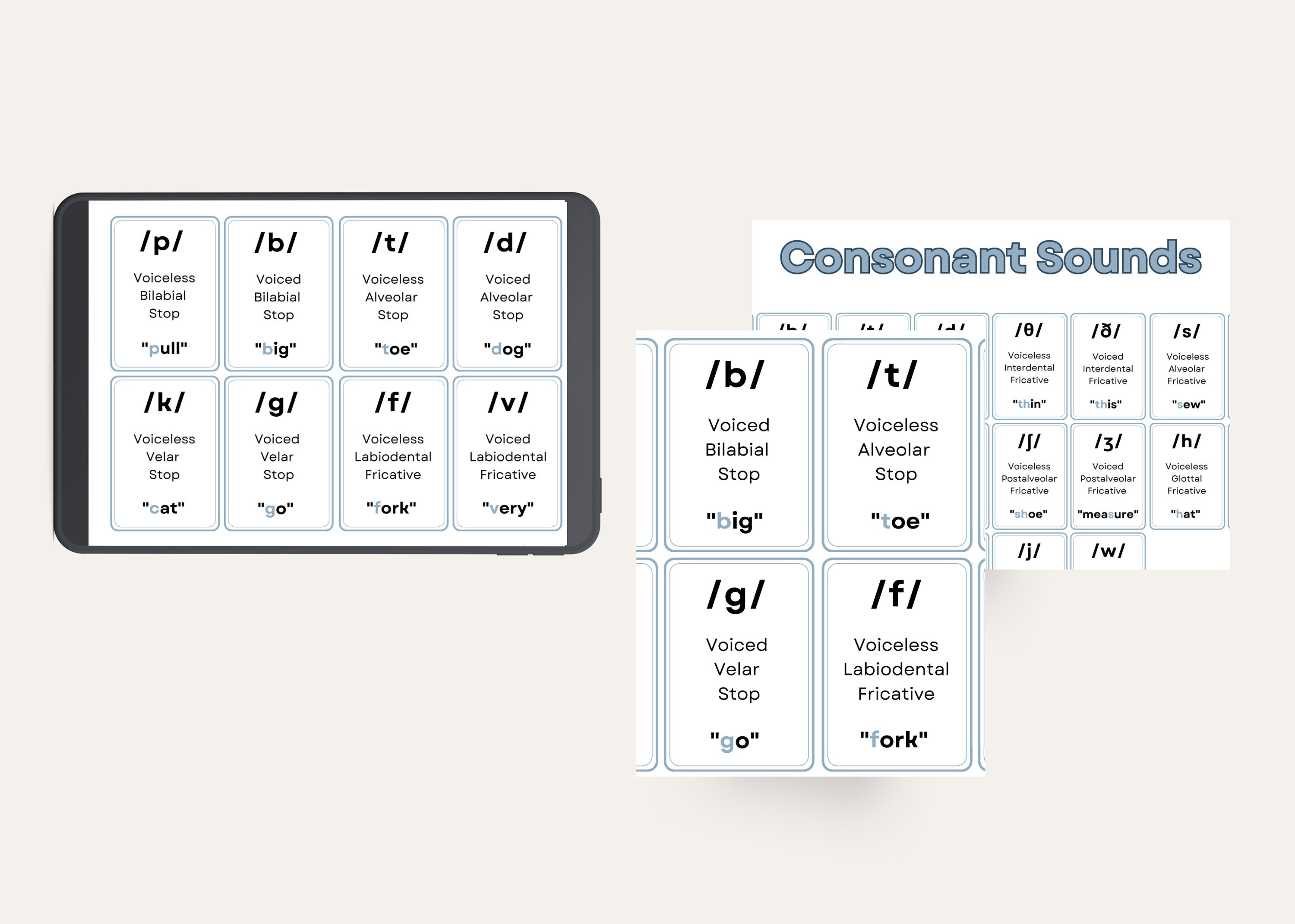IPA Cards, Flashcards International Phonetic Alphabet, for Studying ...