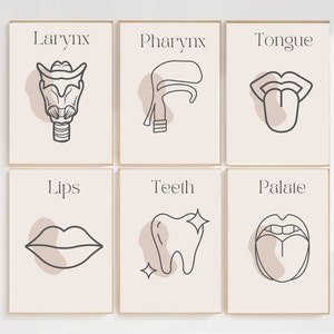 Set di anatomia del discorso di 6 stampe digitali per la decorazione di arte della parete Set di illustrazioni di patologia della logopedia del pacchetto di stampe mediche