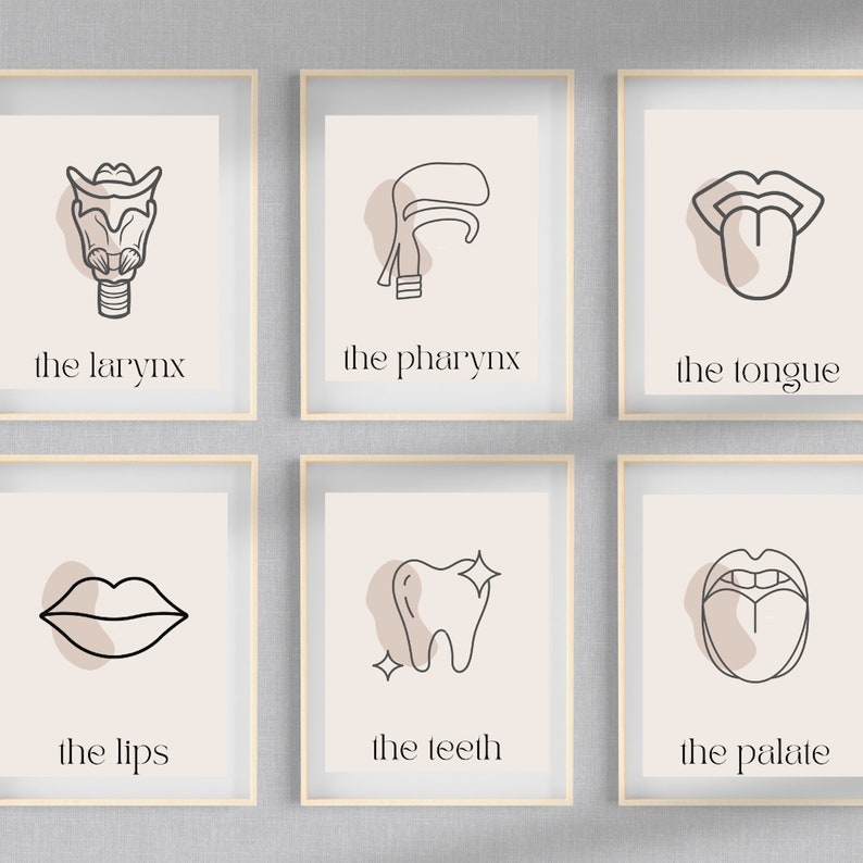 Speech Anatomy Set of 6 Wall Art Decor Digital Prints Set Etsy