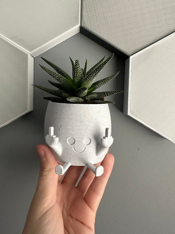 Smiling Plant Pot With Middle Fingers Up 
