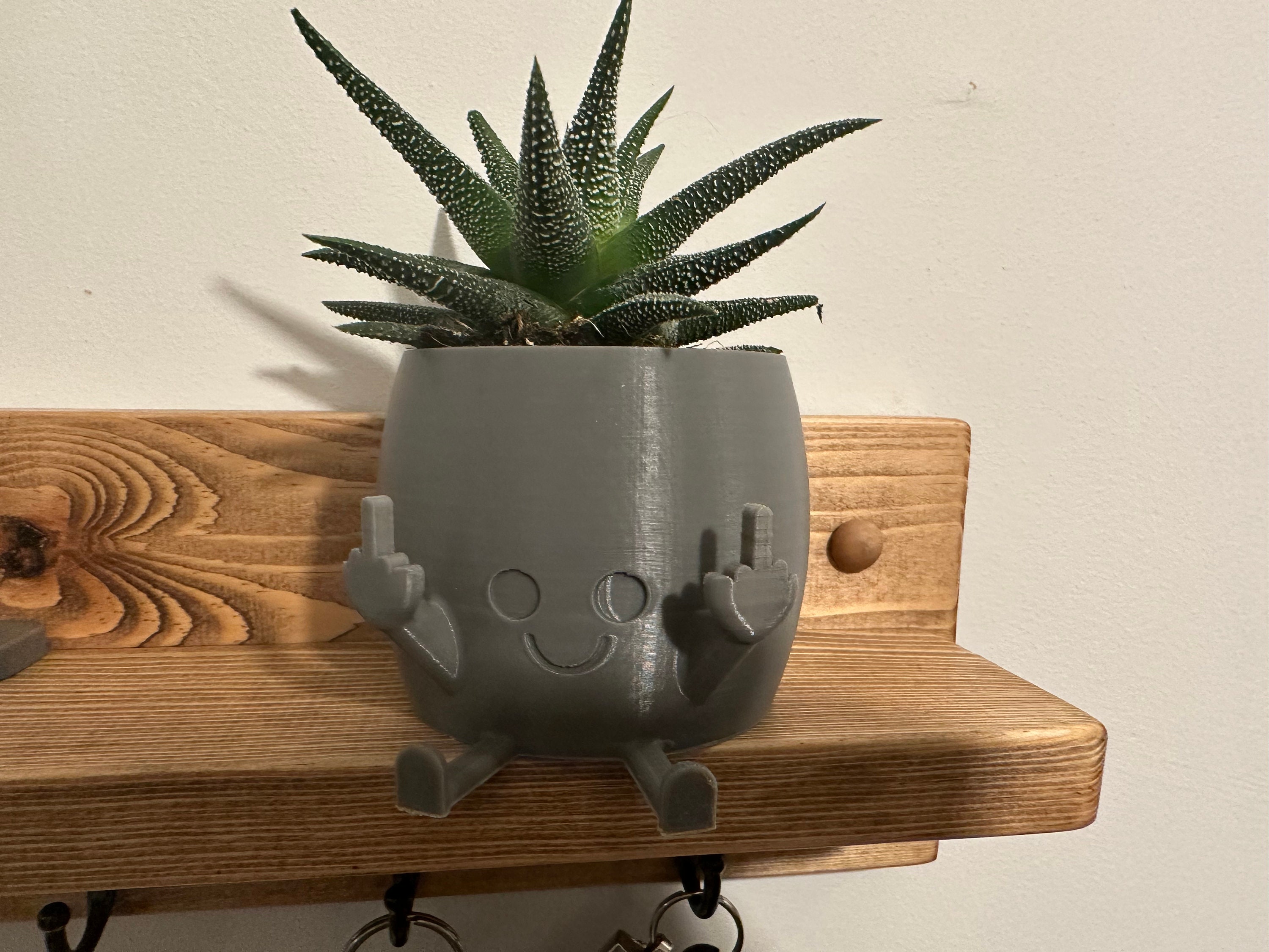 Smiling Plant Pot with Middle Fingers Up,Funny Planters for Indoor  Plants,Unique Cute Flower Pots for Succulents Middle Finger Flower Plant  Pot