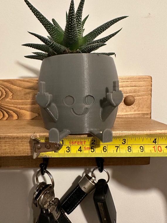 Smiling Plant Pot With Middle Fingers Up 