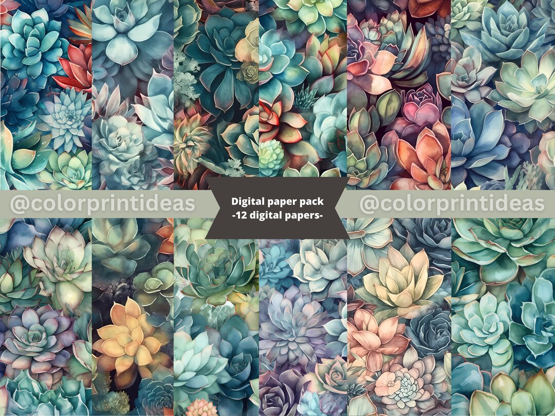 Watercolor Succulents Digital Paper 12 Seamless Pattern - Etsy