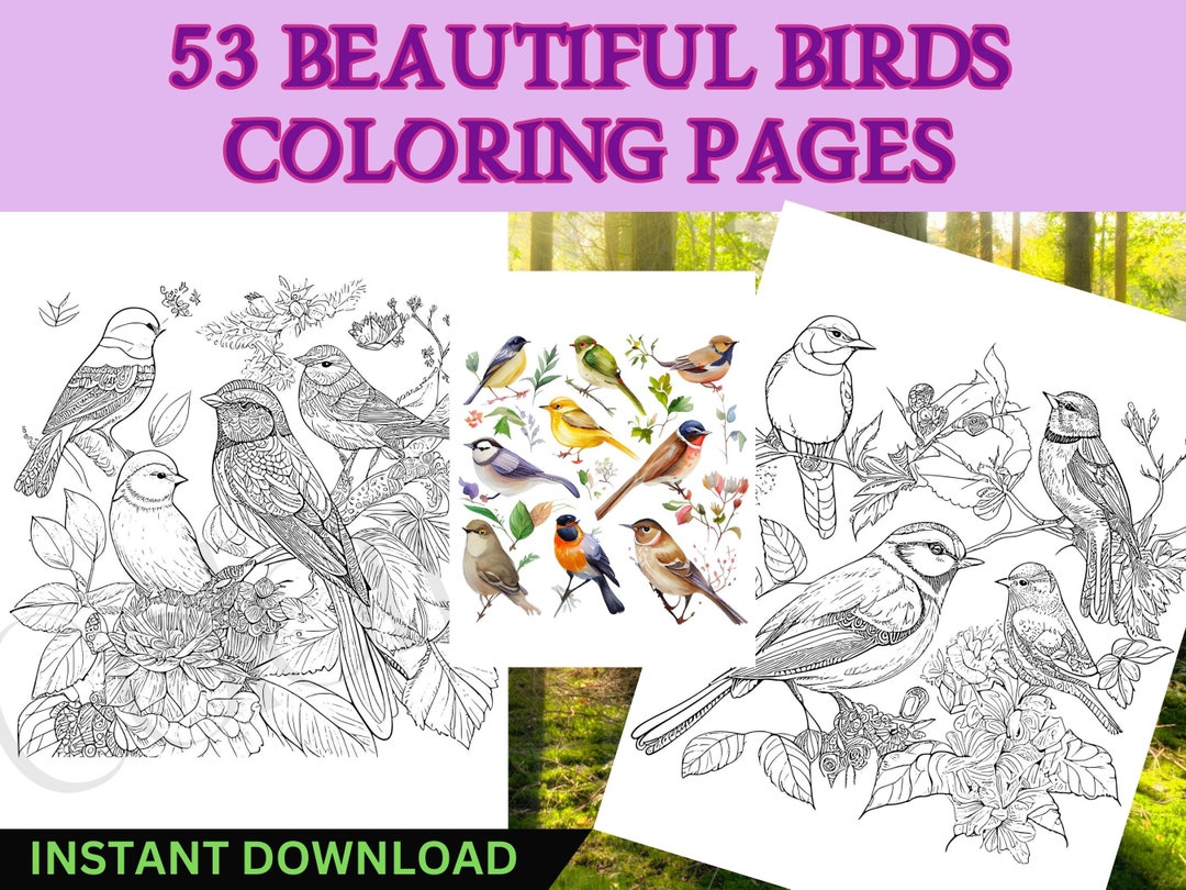 53 Beautiful Lifelike Birds Coloring Book Pages/adult Coloring Sheets