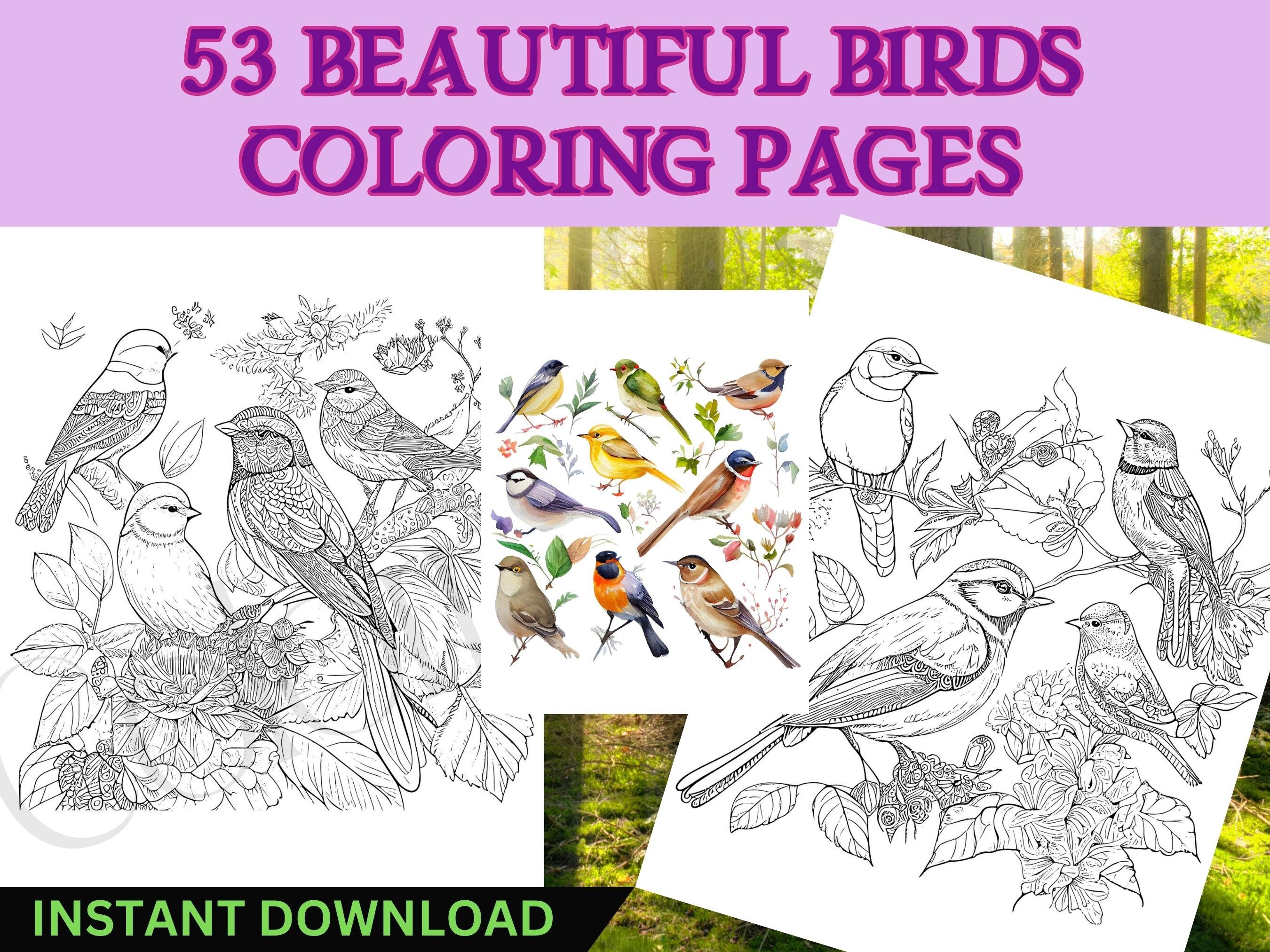 53 Beautiful Lifelike Birds Coloring - Il Fullxfull.4888965365 Grfc 