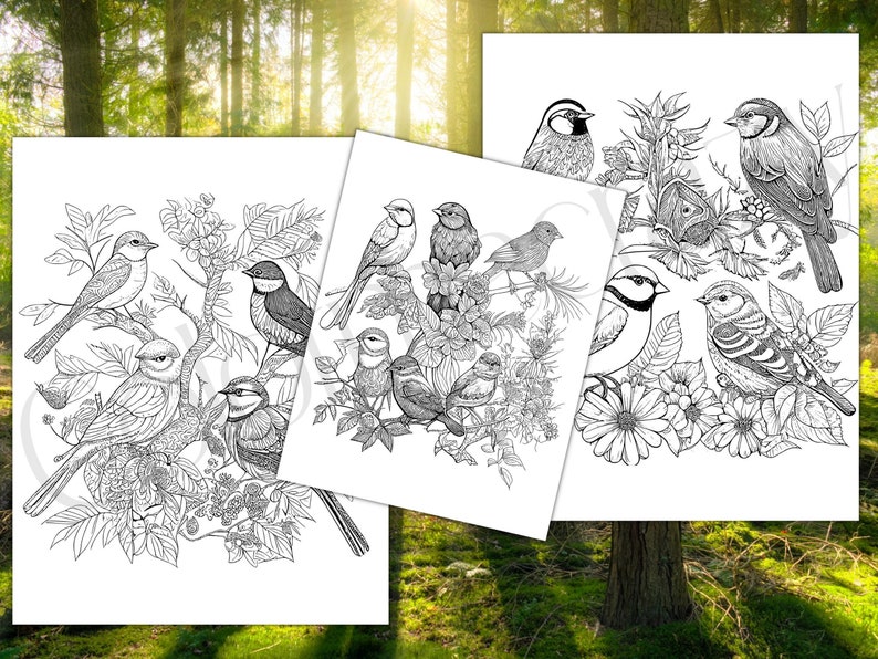 53 Beautiful Lifelike Birds Coloring - Il 794xN.4840706310 Ndm8 