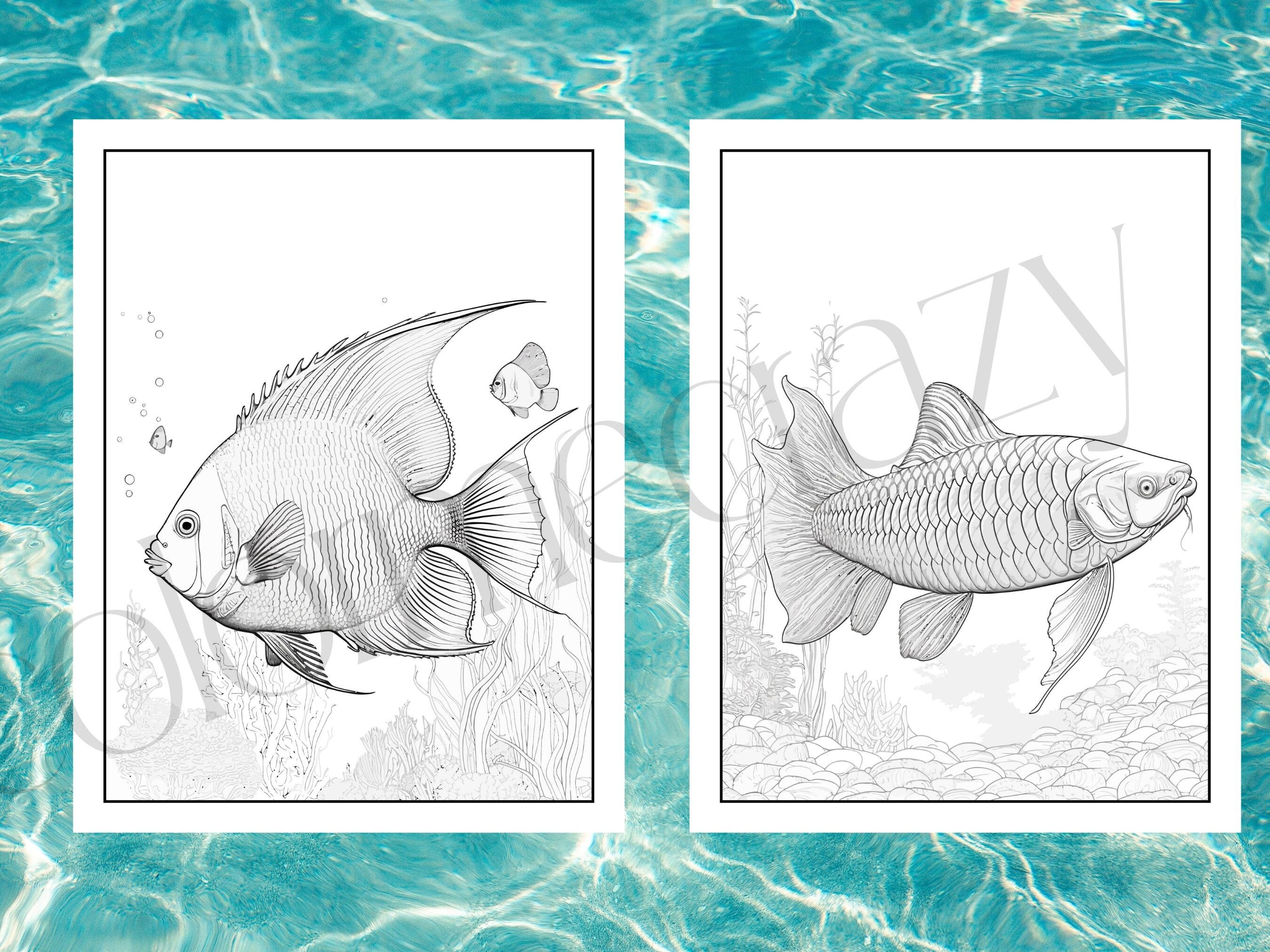 101 Fish Realism Coloring Book Pages/exotic Fish Coloring Book/digital ...