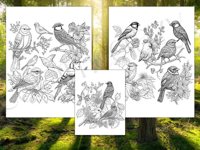 53 Beautiful Lifelike Birds Coloring Book Pages/adult Coloring Sheets