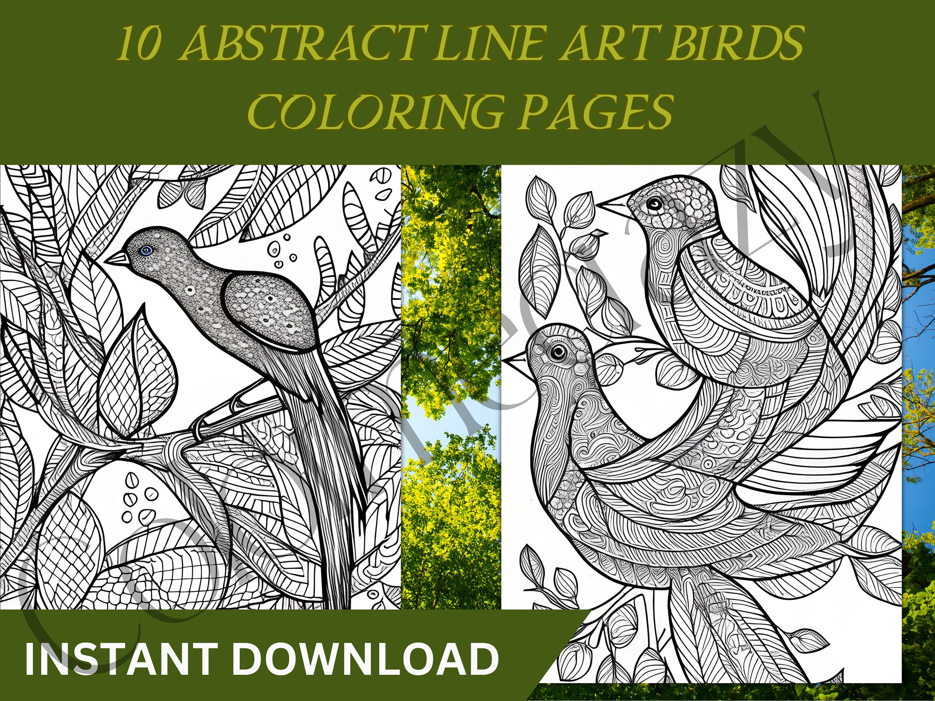 Abstract Bird Coloring Pages For Adults