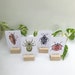 Insect Cards for Children Set 1: 24 Printable Flashcards (digital ...