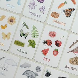 11 cartes-éclair couleur nature pour enfants imprimables, les enfants apprennent des cartes couleur, développement du langage, reconnaissance et tri des couleurs