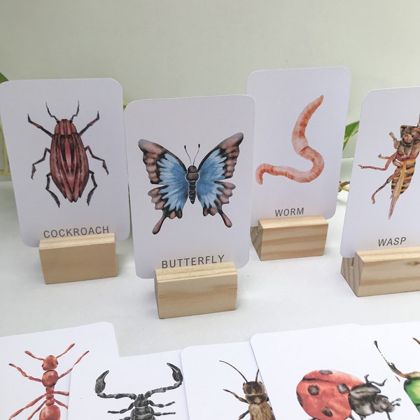 24 Children's Minibeast Flashcards Printable #1, Kids Insect Cards, Bugs, Nature Learning, Science Education, Early Childhood STEM