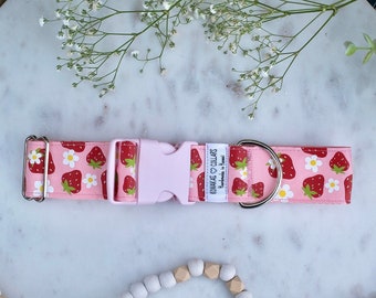 Strawberry Fields 1.5” Dog Collar, Strawberry Floral Flower Themed