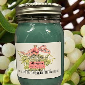 Mistletoe 16 oz. Candle