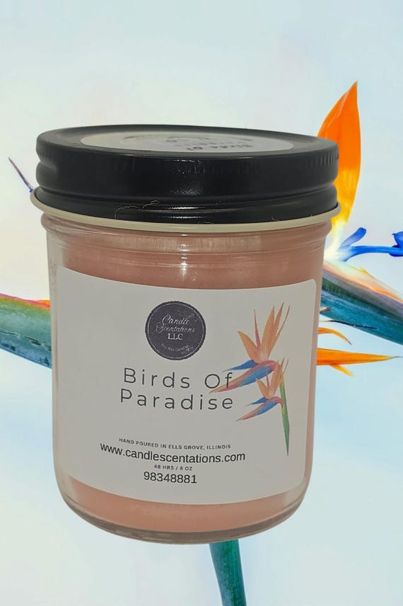 Birds of Paradise 8oz. Candle