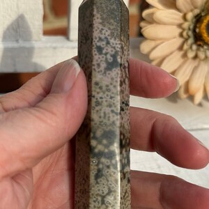 May include: A brown and gray, multi-faceted, polished, crystal point with a unique, speckled pattern.