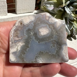 Gorgeous Black Flower Agate Freeform with Druzy