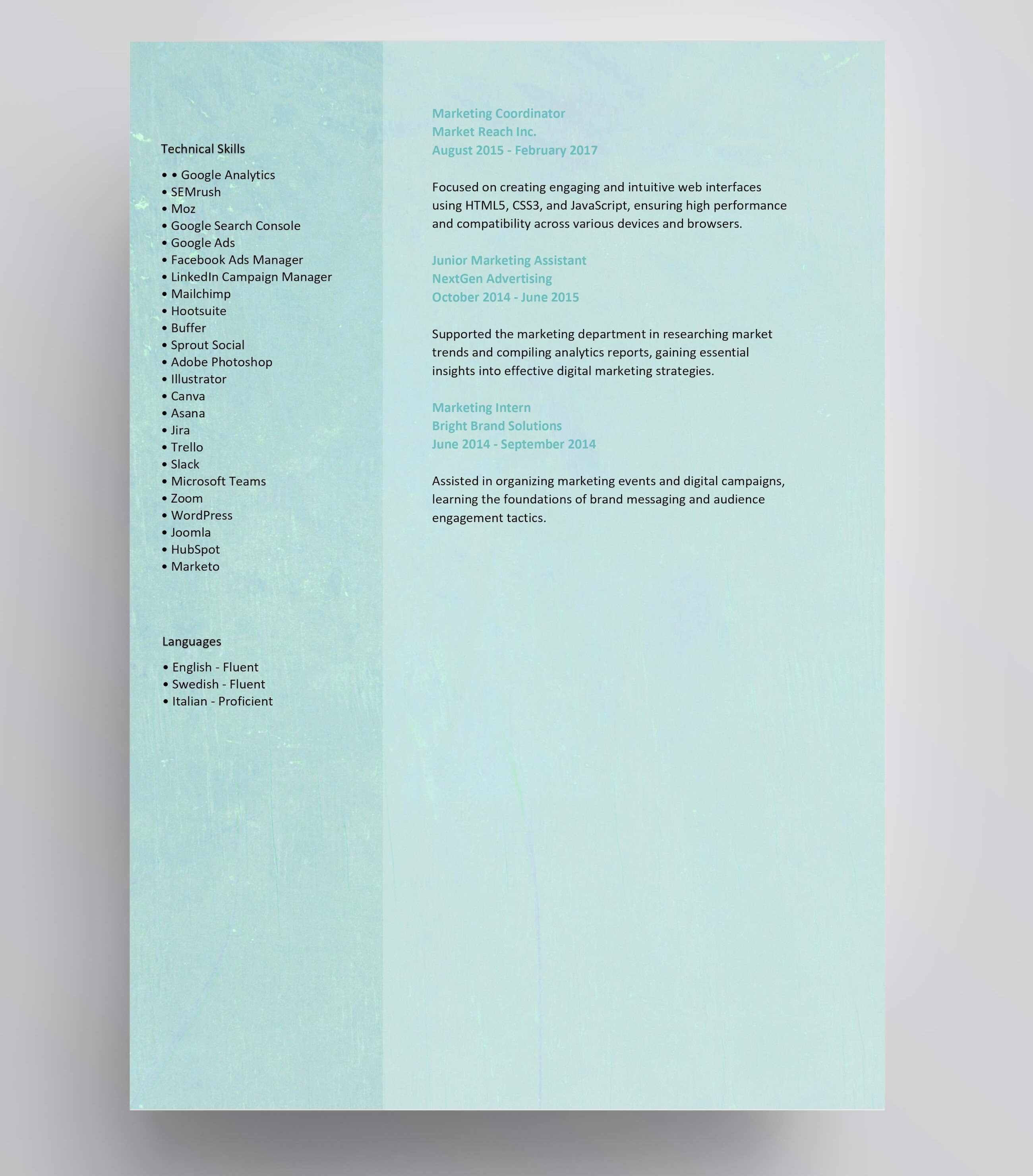 Digital Marketing Resume Template Word Resume Template Marketing
