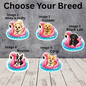 May include: A graphic display titled Choose Your Breed featuring five illustrations of dogs in pink flamingo pool floats. The dogs include a white fluffy dog, a golden retriever, a black Labrador, a Boston terrier, and a Corgi, all in blue water.