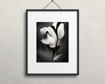Black & White Flower Photo - Printable Dark Cottagecore Wall Art for Bathroom, Living Room, Floral Home Decor - Downloadable Art Prints