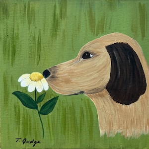 Sniffing a Daisy