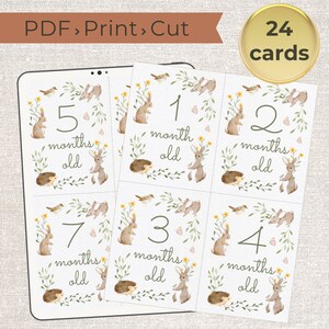 Cartes-photos bébé jalon imprimables Style vintage Boho, accessoire photo bébé, cadeau de shower de bébé, impression instantanée en téléchargement numérique, cartes pour mois de bébé, imprimables en téléchargement numérique