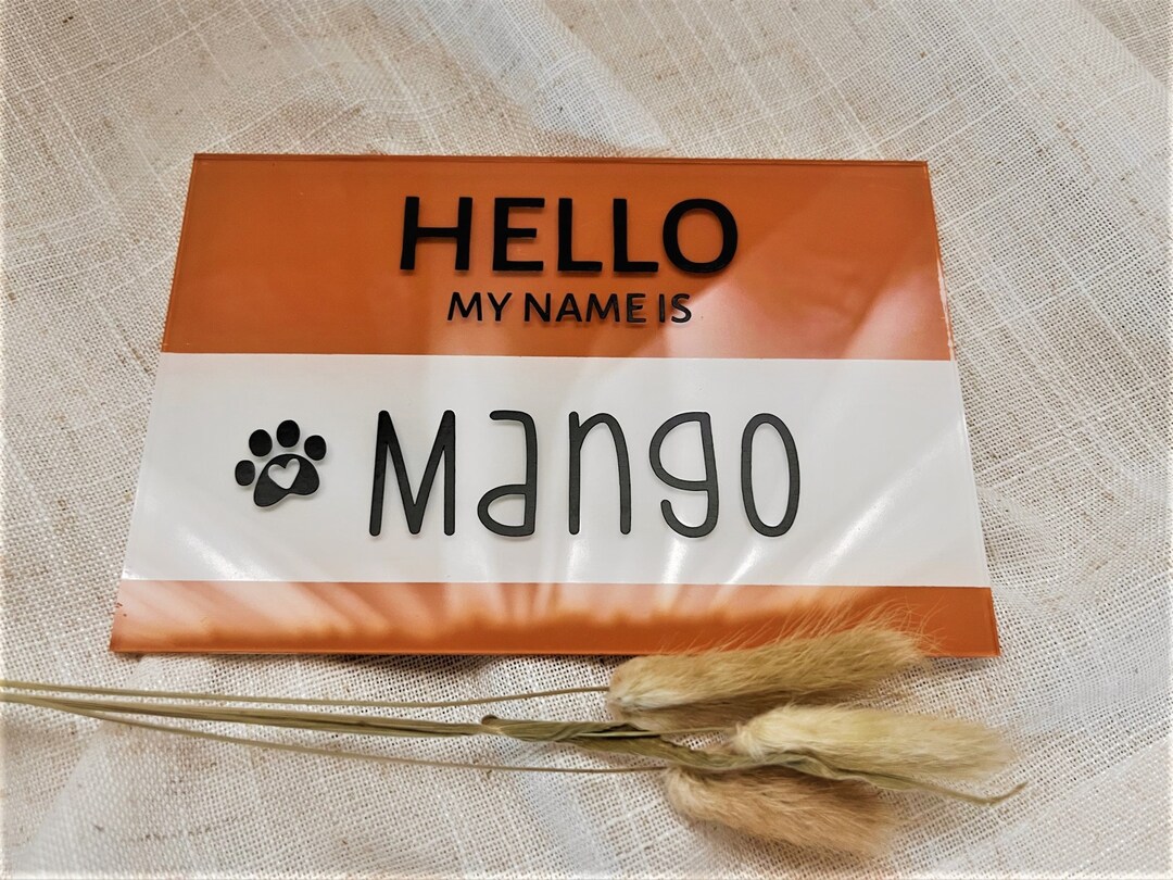 Name Tag Sign for Pet Lover Acrylic Sign Custom Pet Gift for New Pet
