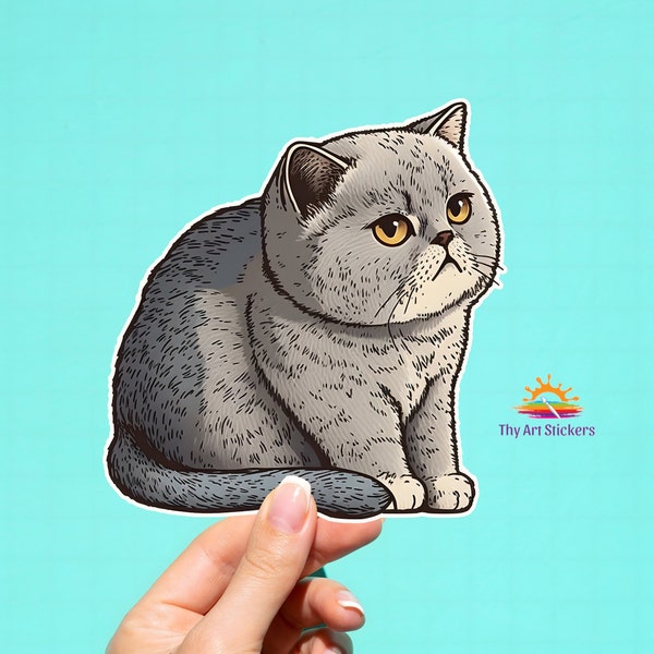 British Shorthair Sticker, Shorthair Cat, Shorthair Cat Breed, British Shorthair, British Shorthair Cat, British Shorthair Cat Sticker, Cat