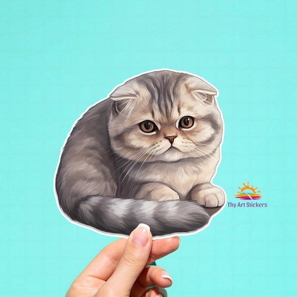 Scottish Fold, Scottish Fold Cat, Scottish Fold Sticker, Scottish Fold Decal, Scottish Fold Cat Sticker, Scottish Fold Cat Decal, Cat Decal