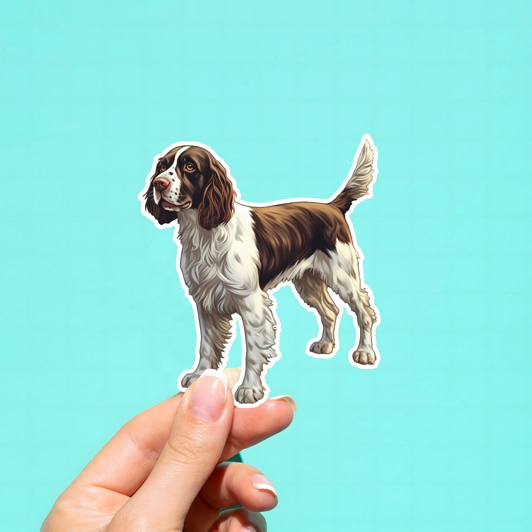 English Springer Spaniel Decal Springer Spaniel Sticker - Etsy
