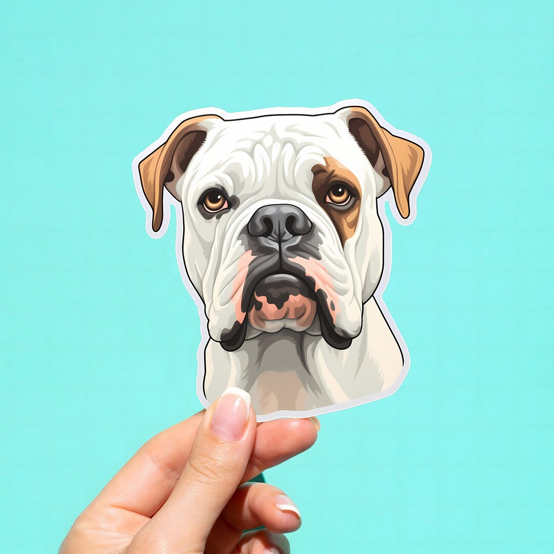 miniature boxer dog miniature boxer dog
