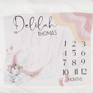 Baby Milestone Blanket, Personalized Nursery Decor, Newborns Keepsake Custom Blanket, Monthly Growth Tracker, Baby Shower Gift photo prop