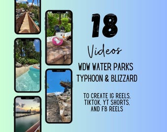 WDW Water Park Videos, Travel Agent Social Media (Canva)