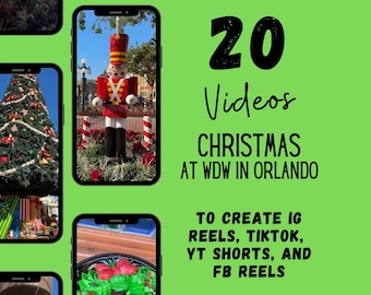 WDW Christmas Travel Agent Social Media Videos (Canva Template)