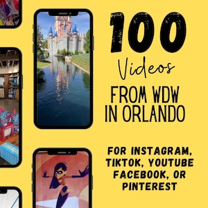 100 WDW for Travel Agent Social Medium, Travel Agent Social Media, WDW IG Reels & TikTok