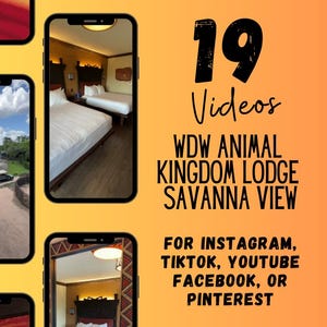 19 WDW Savanna Rooms at Animal Kingdom Lodge Social Media Posts, WDW Hotels Social Media Posts, WDW Travel Agent, and Travel Agent Template